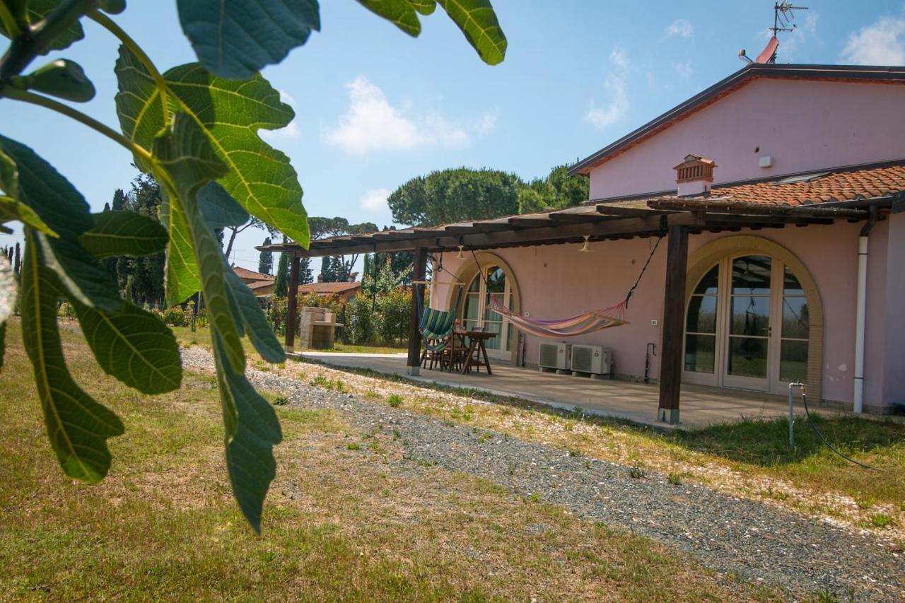 Fattoria Palazzeta - Pet & Family Friendly Cecina (Livorno) Exterior foto