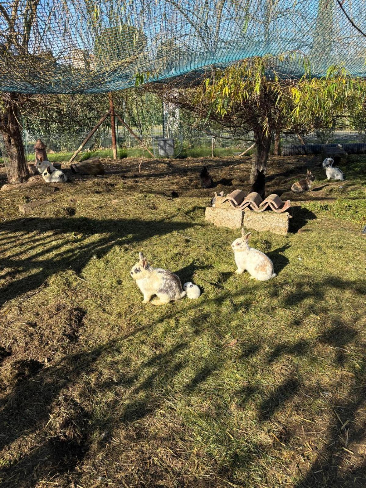 Fattoria Palazzeta - Pet & Family Friendly Cecina (Livorno) Exterior foto